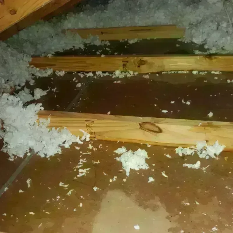 Attic Water Damage in Goddard, KS