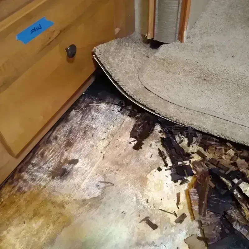 Wood Floor Water Damage in Goddard, KS